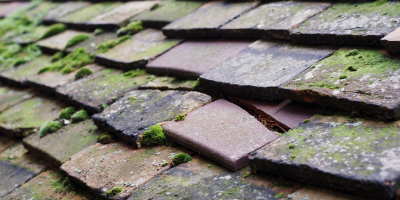 St Julians roof repair costs